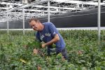 Rijsenhout, 16 Mei 2018
Boer Jaap Vreeken Boer zoekt vrouw