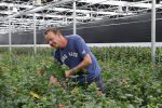 Rijsenhout, 16 Mei 2018
Boer Jaap Vreeken Boer zoekt vrouw