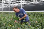 Rijsenhout, 16 Mei 2018
Boer Jaap Vreeken Boer zoekt vrouw