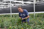 Rijsenhout, 16 Mei 2018
Boer Jaap Vreeken Boer zoekt vrouw