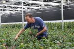Rijsenhout, 16 Mei 2018
Boer Jaap Vreeken Boer zoekt vrouw
