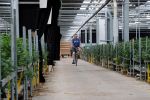 Rijsenhout, 16 Mei 2018
Boer Jaap Vreeken Boer zoekt vrouw
