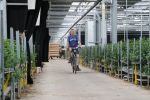 Rijsenhout, 16 Mei 2018
Boer Jaap Vreeken Boer zoekt vrouw