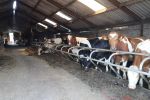 Fochtenloo, 16 Mei 2018
Boer Remco Aalbers Fochtenloo Boer zoekt vrouw