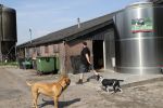 Fochtenloo, 16 Mei 2018
Boer Remco Aalbers Fochtenloo Boer zoekt vrouw