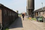 Fochtenloo, 16 Mei 2018
Boer Remco Aalbers Fochtenloo Boer zoekt vrouw