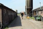 Fochtenloo, 16 Mei 2018
Boer Remco Aalbers Fochtenloo Boer zoekt vrouw