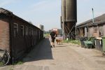Fochtenloo, 16 Mei 2018
Boer Remco Aalbers Fochtenloo Boer zoekt vrouw