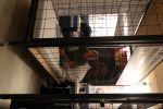 Laren, 16 Mei 2018
Aktie Lock Me Up - Free a Girl
John Ewbank