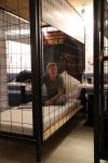 Laren, 16 Mei 2018
Aktie Lock Me Up - Free a Girl
John Ewbank