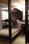 Laren, 16 Mei 2018
Aktie Lock Me Up - Free a Girl
John Ewbank