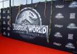 Amsterdam 5 juni 2018
Premiere Jurassic world in het amsterdam theater.