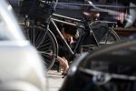 Amsterdam 23 mei 2018
Kim v Kooten en haar man Jacob Derwig in Amsterdam zuid