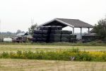 Wijdewormer 22 mei 2018
Marnix Knetemann isa een van de deelnemers aan boer zoekt vrouw.