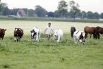 Wijdewormer 22 mei 2018
Marnix Knetemann isa een van de deelnemers aan boer zoekt vrouw.