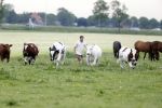 Wijdewormer 22 mei 2018
Marnix Knetemann isa een van de deelnemers aan boer zoekt vrouw.