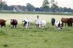 Wijdewormer 22 mei 2018
Marnix Knetemann isa een van de deelnemers aan boer zoekt vrouw.