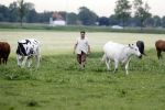 Wijdewormer 22 mei 2018
Marnix Knetemann isa een van de deelnemers aan boer zoekt vrouw.