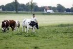 Wijdewormer 22 mei 2018
Marnix Knetemann isa een van de deelnemers aan boer zoekt vrouw.