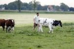 Wijdewormer 22 mei 2018
Marnix Knetemann isa een van de deelnemers aan boer zoekt vrouw.