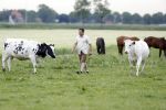 Wijdewormer 22 mei 2018
Marnix Knetemann isa een van de deelnemers aan boer zoekt vrouw.