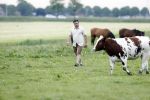 Wijdewormer 22 mei 2018
Marnix Knetemann isa een van de deelnemers aan boer zoekt vrouw.