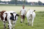 Wijdewormer 22 mei 2018
Marnix Knetemann isa een van de deelnemers aan boer zoekt vrouw.