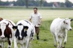 Wijdewormer 22 mei 2018
Marnix Knetemann isa een van de deelnemers aan boer zoekt vrouw.