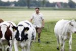 Wijdewormer 22 mei 2018
Marnix Knetemann isa een van de deelnemers aan boer zoekt vrouw.