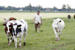 Wijdewormer 22 mei 2018
Marnix Knetemann isa een van de deelnemers aan boer zoekt vrouw.