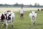 Wijdewormer 22 mei 2018
Marnix Knetemann isa een van de deelnemers aan boer zoekt vrouw.