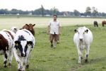 Wijdewormer 22 mei 2018
Marnix Knetemann isa een van de deelnemers aan boer zoekt vrouw.