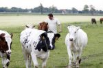 Wijdewormer 22 mei 2018
Marnix Knetemann isa een van de deelnemers aan boer zoekt vrouw.