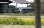 Wijdewormer 22 mei 2018
Marnix Knetemann isa een van de deelnemers aan boer zoekt vrouw.
