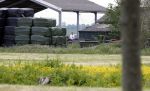 Wijdewormer 22 mei 2018
Marnix Knetemann isa een van de deelnemers aan boer zoekt vrouw.