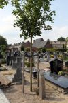Sint Michielsgestel, 9 Juni 2018
Begraafplaats waar Sandra Reemer een jaar geleden werd begraven.
Herdenkingsdienst