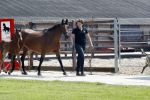 Boekel 14 mei 2018
Boer zoekt vrouw deelneemster Steffie Verhagen ( en haar ouders) bij hun boerderij