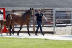 Boekel 14 mei 2018
Boer zoekt vrouw deelneemster Steffie Verhagen ( en haar ouders) bij hun boerderij