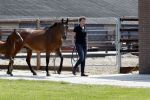Boekel 14 mei 2018
Boer zoekt vrouw deelneemster Steffie Verhagen ( en haar ouders) bij hun boerderij