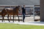 Boekel 14 mei 2018
Boer zoekt vrouw deelneemster Steffie Verhagen ( en haar ouders) bij hun boerderij