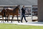 Boekel 14 mei 2018
Boer zoekt vrouw deelneemster Steffie Verhagen ( en haar ouders) bij hun boerderij