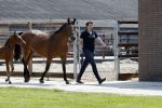 Boekel 14 mei 2018
Boer zoekt vrouw deelneemster Steffie Verhagen ( en haar ouders) bij hun boerderij