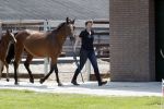 Boekel 14 mei 2018
Boer zoekt vrouw deelneemster Steffie Verhagen ( en haar ouders) bij hun boerderij