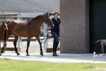 Boekel 14 mei 2018
Boer zoekt vrouw deelneemster Steffie Verhagen ( en haar ouders) bij hun boerderij