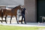 Boekel 14 mei 2018
Boer zoekt vrouw deelneemster Steffie Verhagen ( en haar ouders) bij hun boerderij