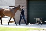 Boekel 14 mei 2018
Boer zoekt vrouw deelneemster Steffie Verhagen ( en haar ouders) bij hun boerderij