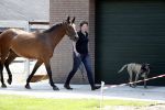 Boekel 14 mei 2018
Boer zoekt vrouw deelneemster Steffie Verhagen ( en haar ouders) bij hun boerderij