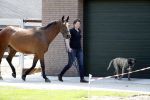 Boekel 14 mei 2018
Boer zoekt vrouw deelneemster Steffie Verhagen ( en haar ouders) bij hun boerderij