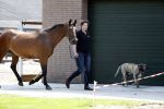 Boekel 14 mei 2018
Boer zoekt vrouw deelneemster Steffie Verhagen ( en haar ouders) bij hun boerderij