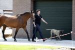 Boekel 14 mei 2018
Boer zoekt vrouw deelneemster Steffie Verhagen ( en haar ouders) bij hun boerderij